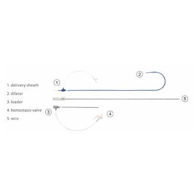 Sistema de Entrega para Oclusores